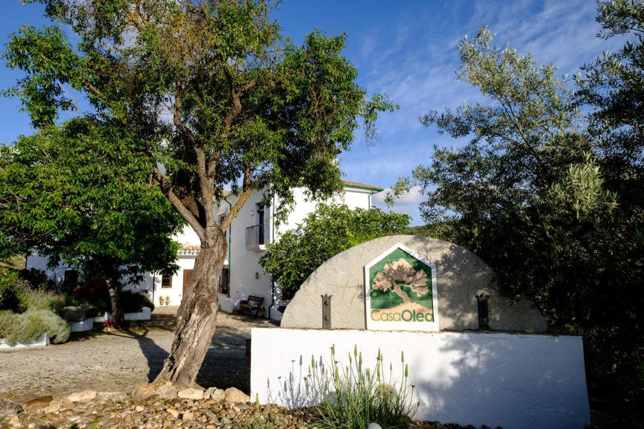Bed and Breakfast Casa Olea Priego de Córdoba Exterior foto